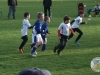 dscf5479