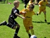 ml. přípravka 19. 5. 2012