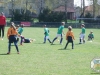 dscf5564