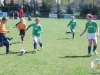 dscf5578