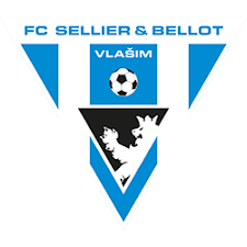 vlasim